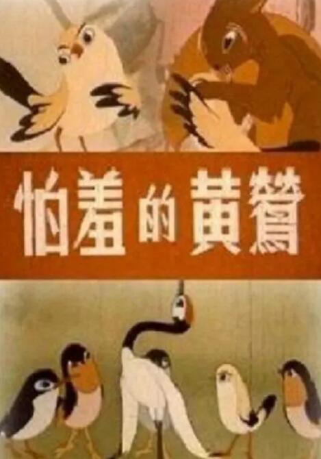 全集免费观看超清
