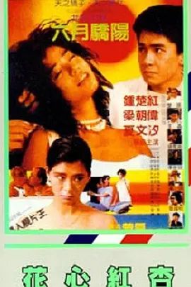 全集在线观看