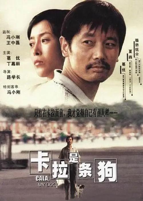 完结高清影视