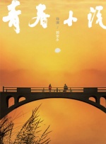 BD国语高清完整版