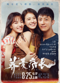 杜比视界